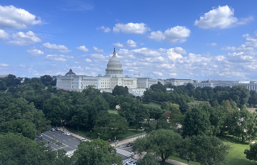 What I Thought About In July